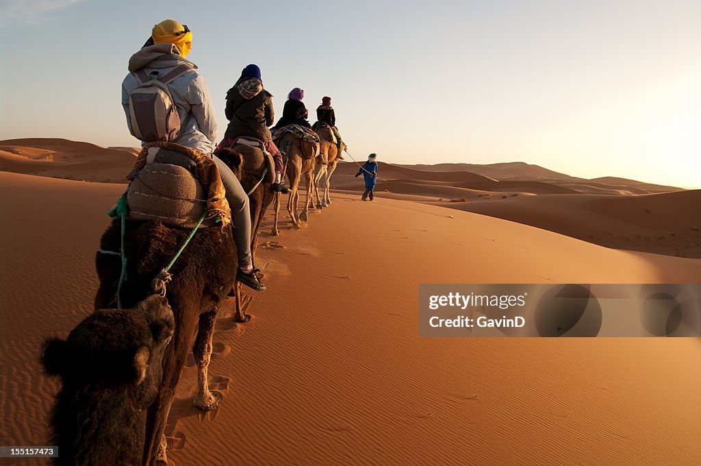 旅行者たちに旅行の列車でのラクダの Sahara によるガイド