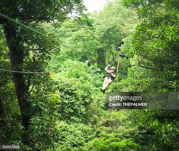 man during a canopy tour costa rica - costa rica zipline stock pictures, royalty-free photos & images