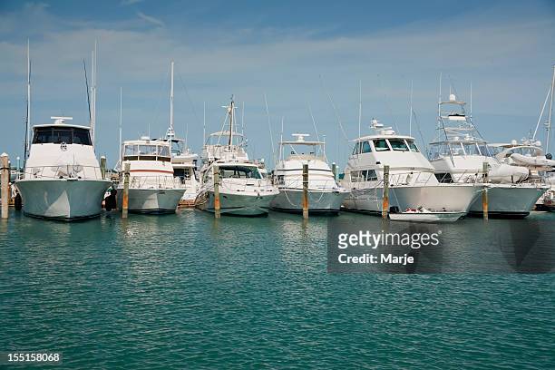 luxury yachts docked in the water - moored stock pictures, royalty-free photos & images