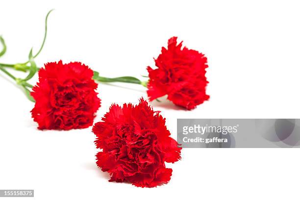 3 赤 carnations - flower arrangement carnation ストックフォトと画像
