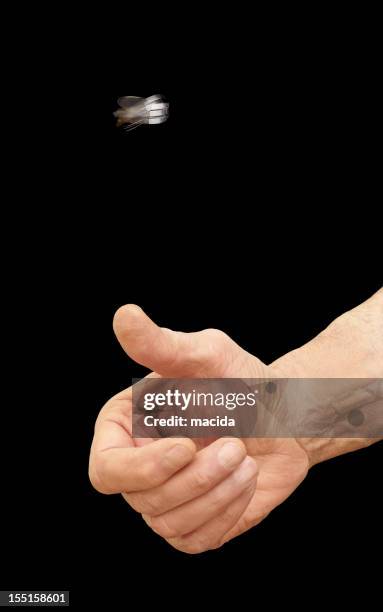 münze flip - münzwurf stock-fotos und bilder
