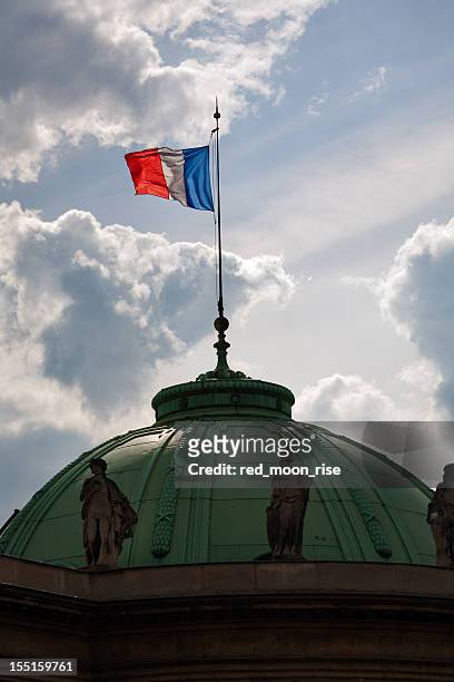 french flag on the national assembly - french parliament stock pictures, royalty-free photos & images