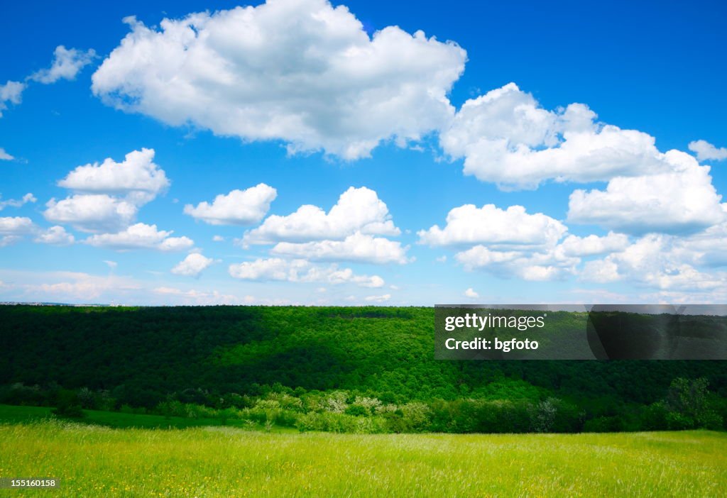 Frühling Landschaft mit Wiese