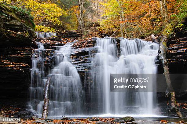 waterfall in autumn forest. - ricketts glen state park stock pictures, royalty-free photos & images