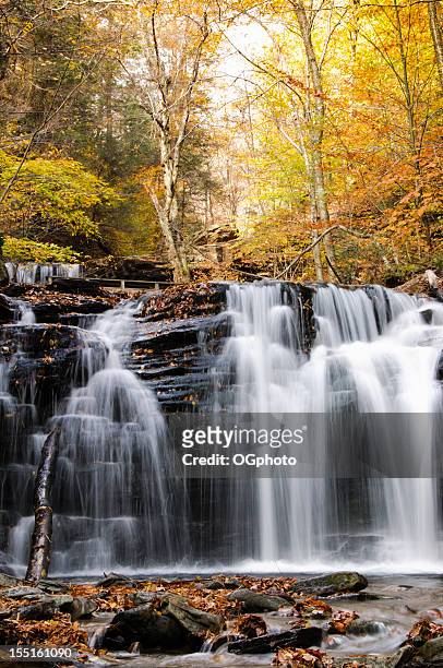 waterfall in autumn forest. - ricketts glen state park stock pictures, royalty-free photos & images