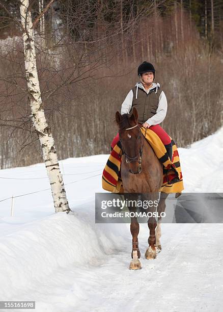 mujer joven cabalgatas en la nieve, oslo, noruega - snow horses fotografías e imágenes de stock