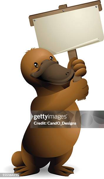 platypus: holding banner - platypus stock illustrations