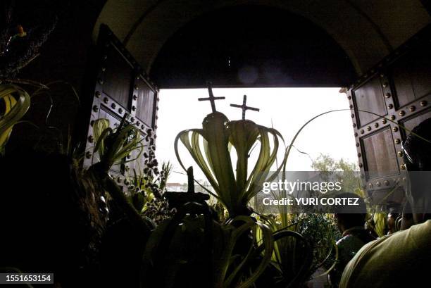 Catholics carrying palms take part in the Palm Sunday procession at the Metropolitan Cathedral in San Salvador, El Salvador 20 March 2005, marking...