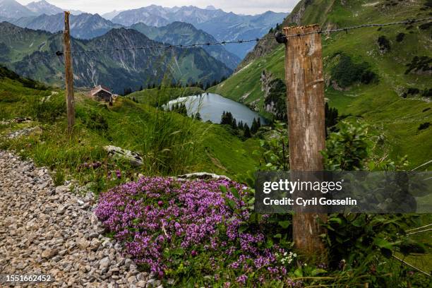 seealpsee and allgäu alps. oberstdorf, bavaria, germany. - nebelhorn bildbanksfoton och bilder