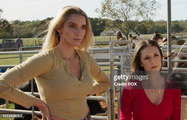 Devonne 154 Devonne Stock Photos, High-Res Pictures, and Images - Getty Images