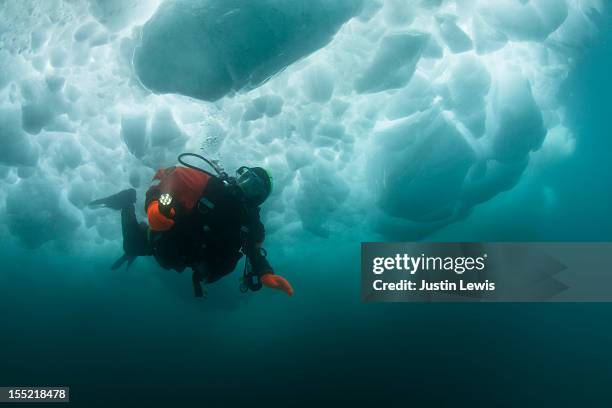 male scuba diver swimming under an iceberg - arctic ocean stock pictures, royalty-free photos & images