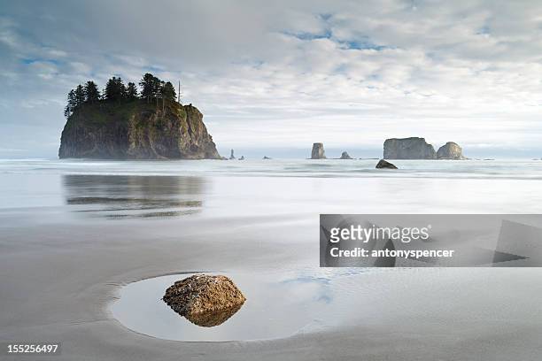 olympic national park coastline, w.a, usa. - washington state stock pictures, royalty-free photos & images