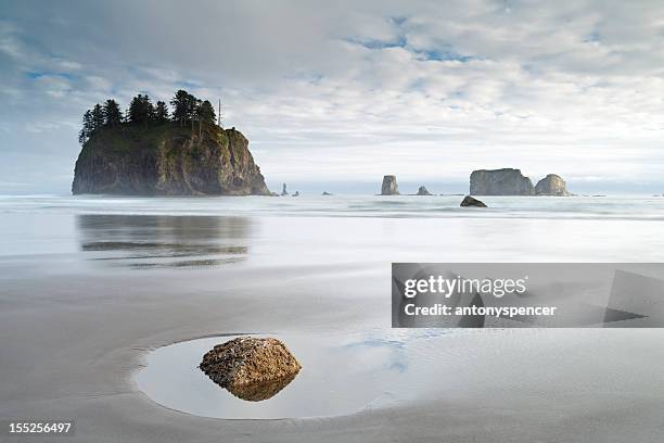 olympic national park coastline, w.a, usa. - 潮池 個照片及圖片檔