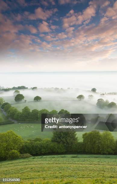 summer sunrise from glastonbury tor - somerset stock pictures, royalty-free photos & images