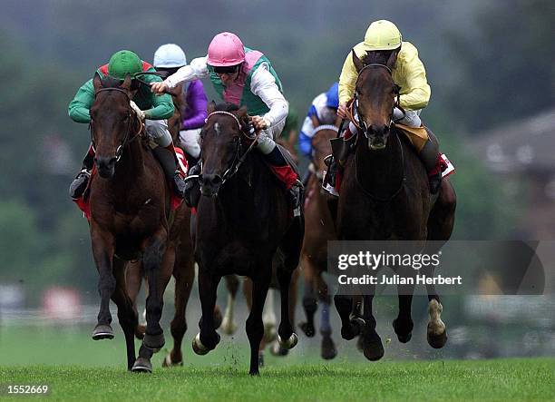 Ray Cochrane brings Arctic Owl up the hill at Sandown to land TheBonusprint Stakes run over 2 Miles at Sandown Park. Mandatory Credit: Julian...