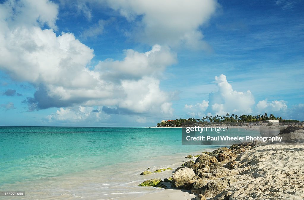 Druif Beach in Aruba