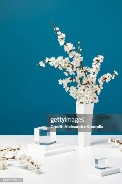 3d stage with white cherry tree flowers in tall vase with minimalistic geometric glass cube podiums on navy blue background. - dimensions launch party stock-fotos und bilder