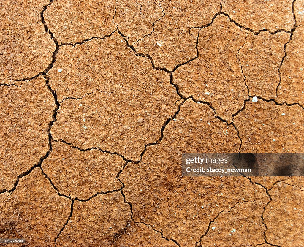 Cracked Desert Earth