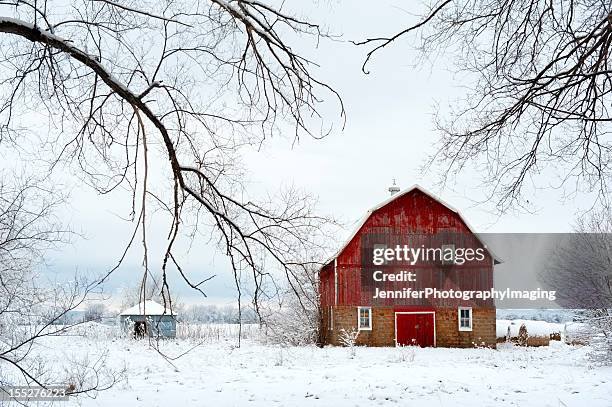 red barn in winter - iowa v minnesota stockfoto's en -beelden