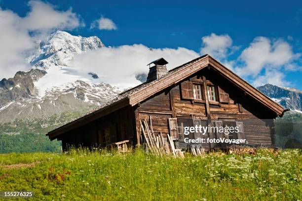 traditional wooden alpine chalet summer meadow snowy mountains - alpine chalet stock pictures, royalty-free photos & images