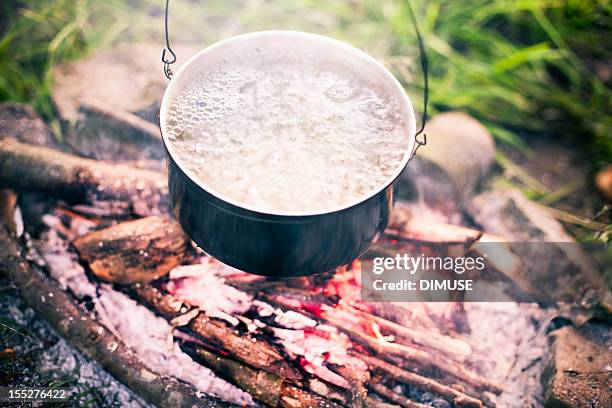 pot on the fire - boiling water stock pictures, royalty-free photos & images