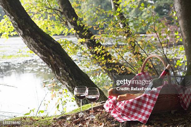 picnic basket with baguettes and wineglasses under trees at lake - romantic picnic stockfoto's en -beelden