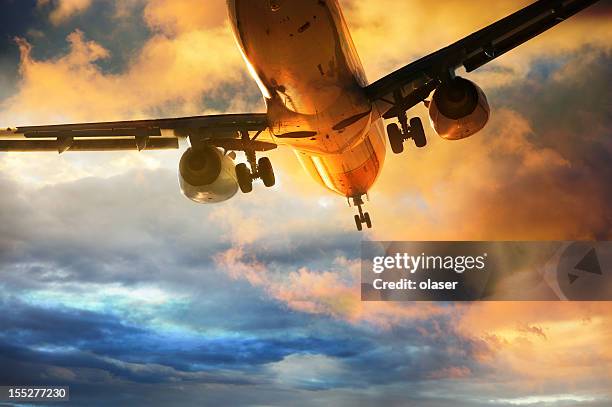 airplane landing in the evening - plane wing stock pictures, royalty-free photos & images