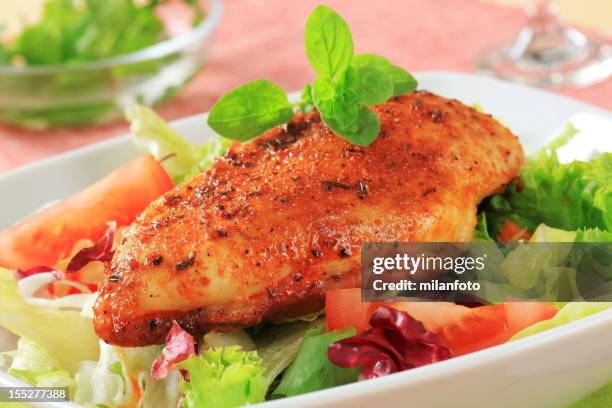 filete de frango marinado e salada fresca - marina imagens e fotografias de stock