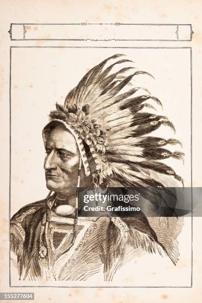 engraving of native american tribal chief sitting bull 1881 - chief sitting bull stock illustrations