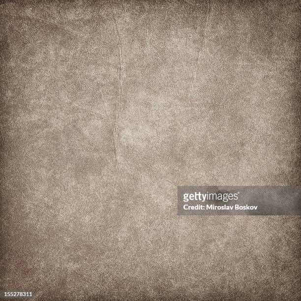 high resolution animal skin parchment vignette grunge texture - old parchment, background, burnt stock pictures, royalty-free photos & images