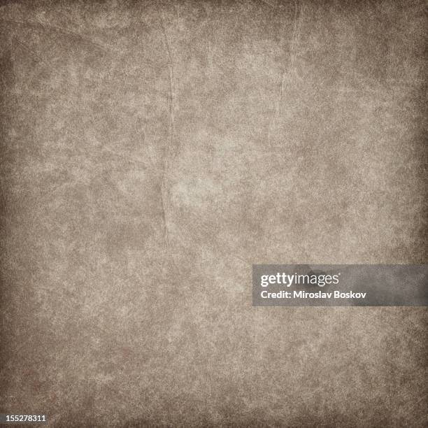 high resolution animal skin parchment vignette grunge texture - mottled skin 個照片及圖片檔