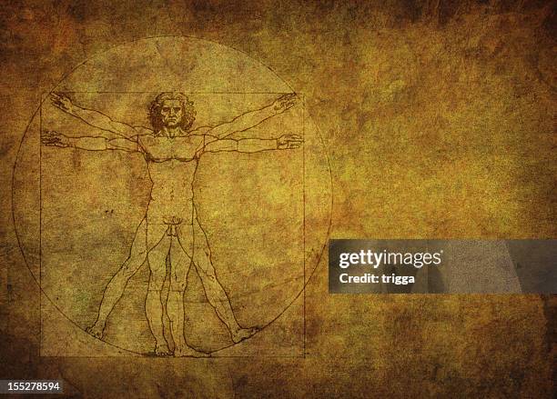 vitruvian man on gold textured background - da vinci stockfoto's en -beelden