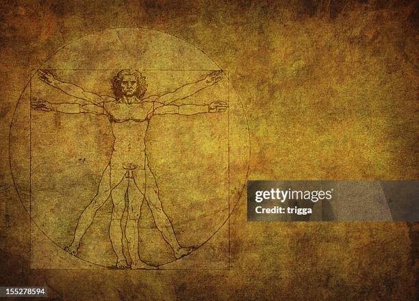 478 Leonardo Da Vinci Anatomy Photos and Premium High Res Pictures - Getty Images 478 Leonardo Da Vinci Anatomy Photos and Premium High Res Pictures - Getty Images