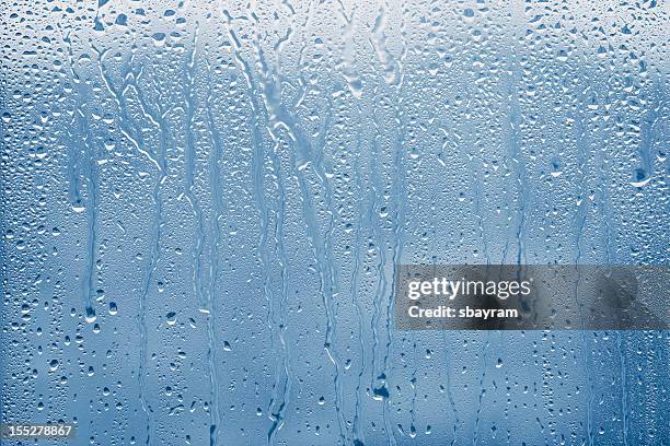 water drops - blöt bildbanksfoton och bilder