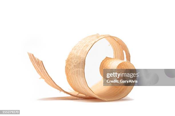 wood shaving/curl close up #13-isolated on white - cedar tree bildbanksfoton och bilder