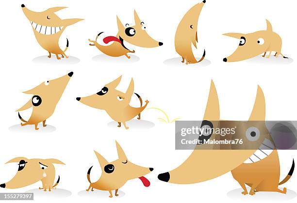 dog - tantrum stock illustrations