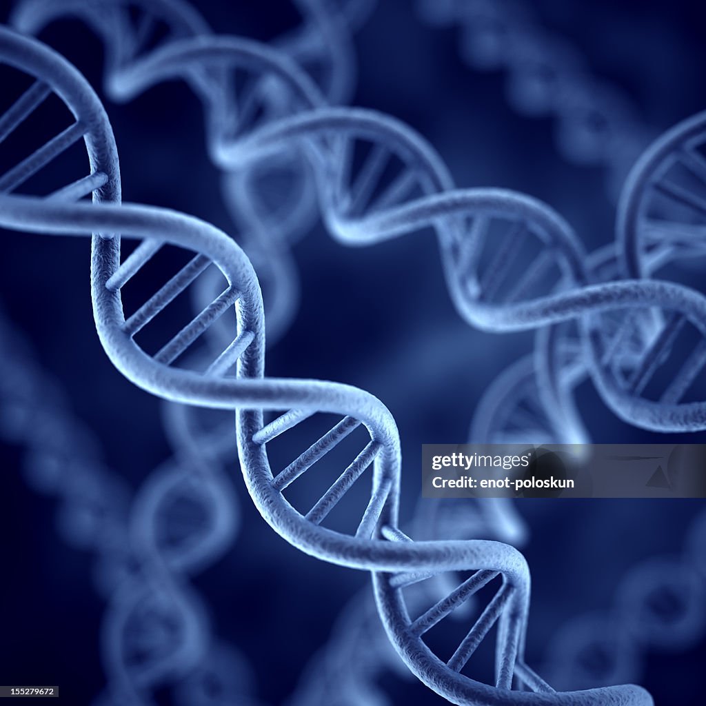 Dna