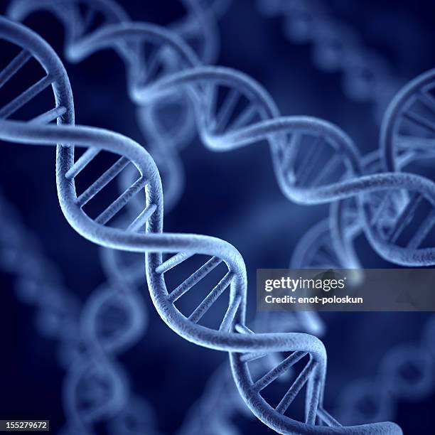 dna - genes stock pictures, royalty-free photos & images