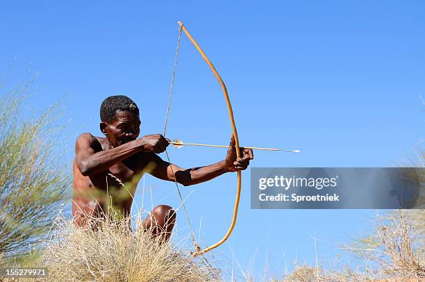 caça bushman kalahari - boxímane imagens e fotografias de stock