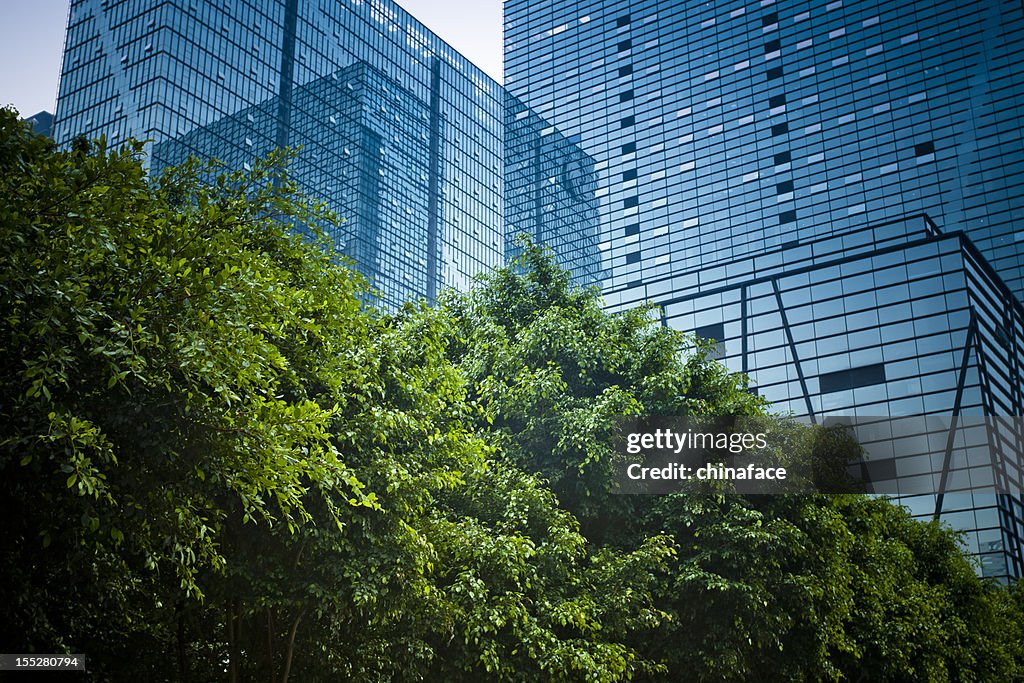 Modern office building with green plant