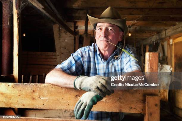 senior farmer in ruhe in einer scheune - arbeitshandschuhe stock-fotos und bilder