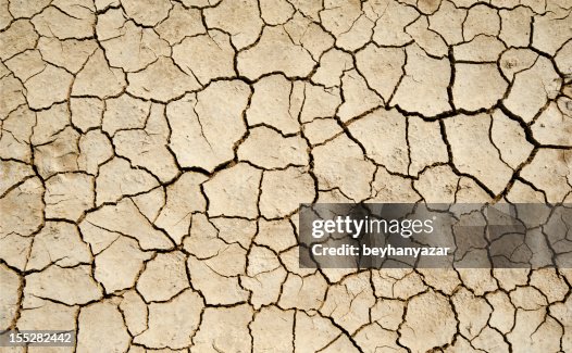 Aridity Aridity