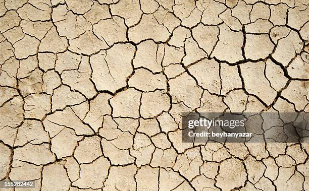 aridity - soil dirt stock pictures, royalty-free photos & images