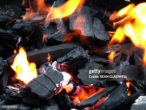 burning charcoal - coal ash stock pictures, royalty-free photos & images