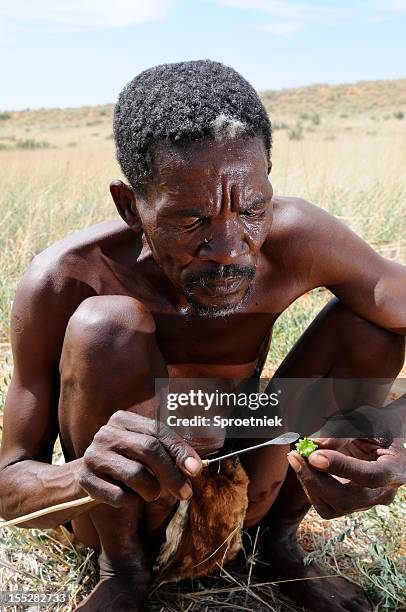 kalahari bushman eating hoodia plant - hoodia stock pictures, royalty-free photos & images