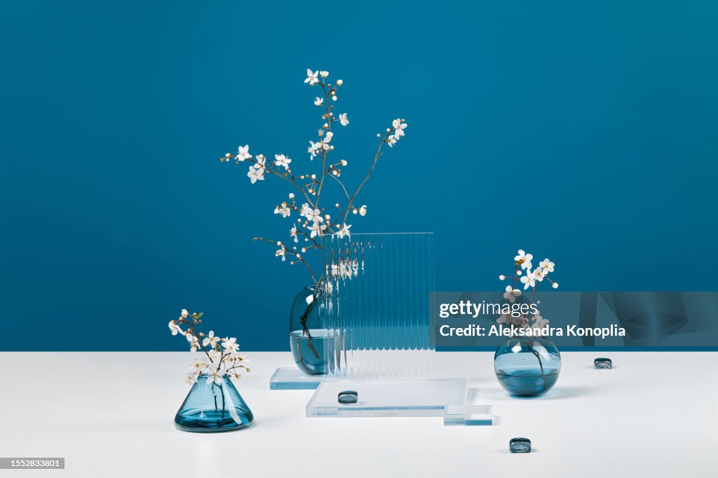 Abstract minimal empty 3d stage with delicate cherry tree blossom branches in a small vases and empty glass podium on white table and navy blue background with copy space