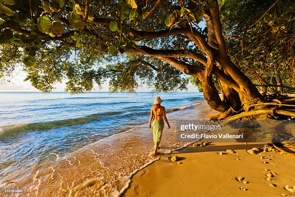 Paynes Bay, Barbados