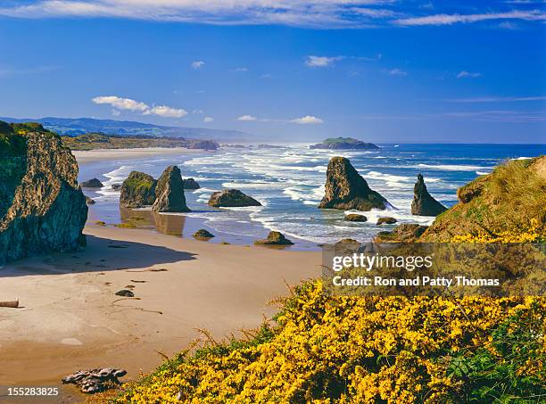 oregons küste - oregon coast stock-fotos und bilder