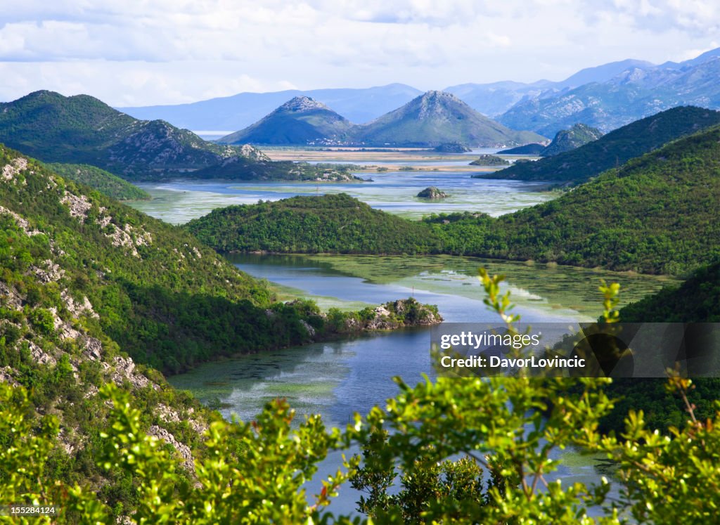 Skadar Lake
