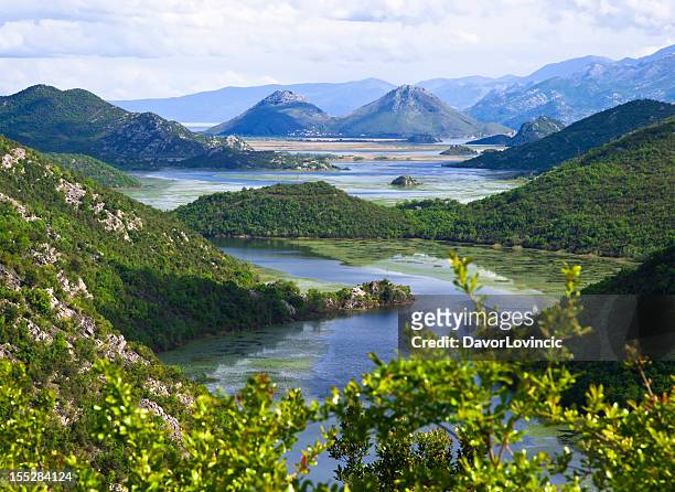 skadar lake - albanian stock pictures, royalty-free photos & images